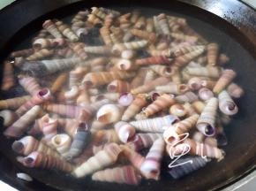 钉螺清洗几遍，凉水下锅，水沸后煮2分钟