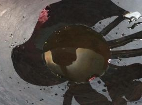 起锅倒入适量油