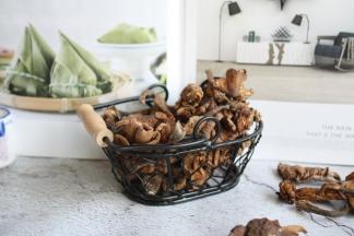 榛蘑是白蘑科食用真菌。
野生榛蘑是中国东北特有的山珍之一，是极少数不能人工培育的食用菌之一。