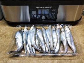 多春鱼清洗干净