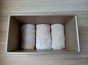 由上至下卷起来，卷的时候注意卷紧，不要留下缝隙。卷好的面团放入土司盒里。