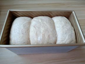 把土司盒放在温度38度，湿度85%以上的环境下进行最后发酵（也可以把土司盒放入烤箱，在烤箱内放入一盘热水，关上烤箱门进行发酵）面团发酵到9分满的时候就可以了。