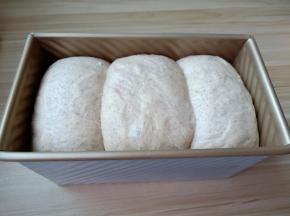 把土司盒放在温度38度，湿度85%以上的环境下进行最后发酵（也可以把土司盒放入烤箱，在烤箱内放入一盘热水，关上烤箱门进行发酵）面团发酵到9分满的时候就可以了。