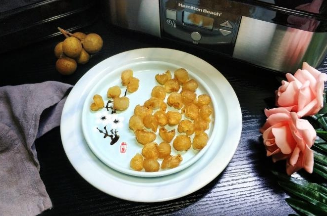 干果机版--龙眼干