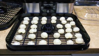 将剥好的龙眼肉放入风干网上