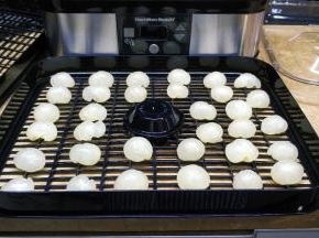 将剥好的龙眼肉放入风干网上