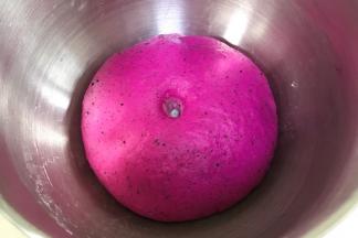 面团发至2～2.5倍大，手指沾面粉戳孔，不塌陷不回弹即可。