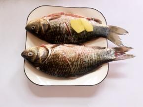 鲫鱼洗净，准备姜片