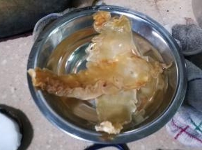 花胶浸泡至软