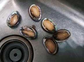鲜鲍鱼洗刷干净