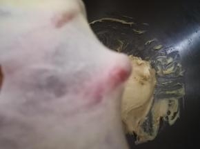 揉至出薄膜，揉好不用发酵，直接取出整形