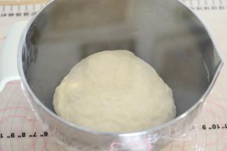 中种的所有材料放入打蛋盆内，揉成团，盖上保鲜膜，放入冰箱5度冷藏10小时，或者26度左右室温发酵至2-3倍大。