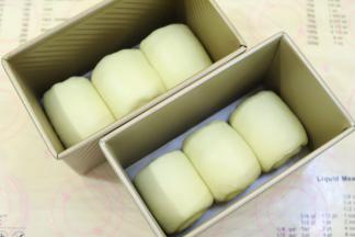 放入450克的吐司模内。