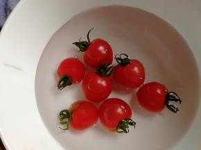 中途可以洗个番茄。