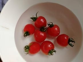 中途可以洗个番茄。