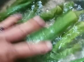 将秋葵洗干净。