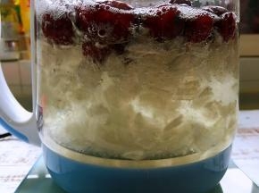 炖煮中的皂角米，晶莹剔透，看着特别喜人。