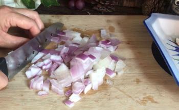 洋葱去皮后洗净，切成小丁