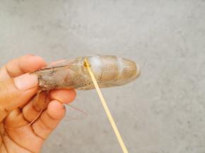 鲜虾用牙签挑去虾线。