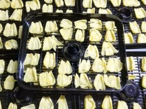 去掉核撕开口，平铺在干果托上