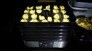 1-5层依次放上干果机主机上盖上盖子