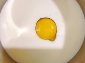 牛奶里打入一个鸡蛋