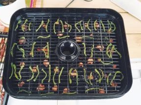 没了水份身材缩水了