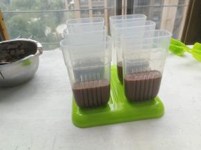 将巧克力味雪糕加入雪糕模到一半位置，将雪糕模送入冰箱冷冻1小时，取出再倒入原味雪糕奶糊，倒满模具即可，插入雪糕棒，送入冰箱冷冻12小时以上