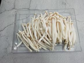 买回来的海鲜菇将根部去掉