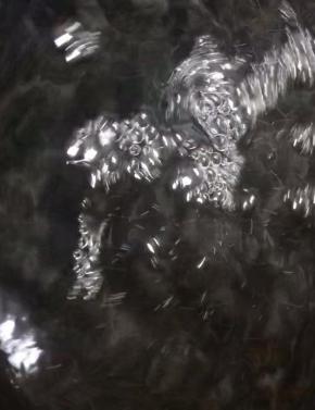 锅中倒入适量清水烧开