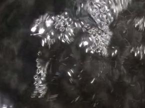 锅中倒入适量清水烧开