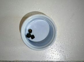 把桂圆去壳放在蒸盅里