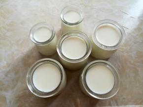 牛奶放入酸奶杯子里，装牛奶的瓶子要用开水烫2分钟。