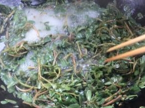 放入马齿苋煮沸至断生