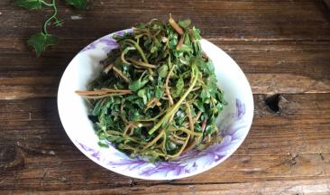 捞出浸泡好的马齿苋，沥水后装入盘中