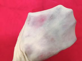 然后看一下状，揉成光滑的面团，揉至完成扩展，可拉出薄而有韧性的手套膜