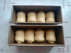 面团收口朝下放，依次把所有的面团卷好，每4个一组放入迷你土司盒里
