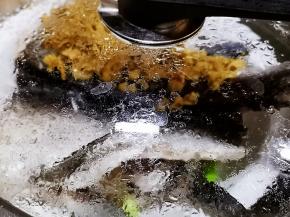 开水上锅蒸6分钟即可