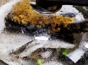 开水上锅蒸6分钟即可