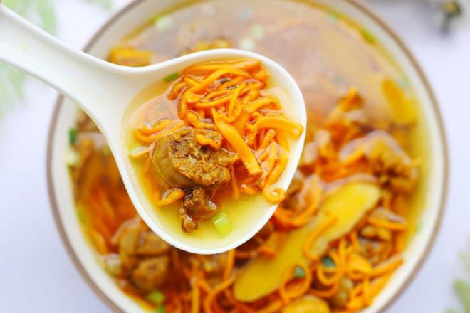 虫草炖鸡汤
