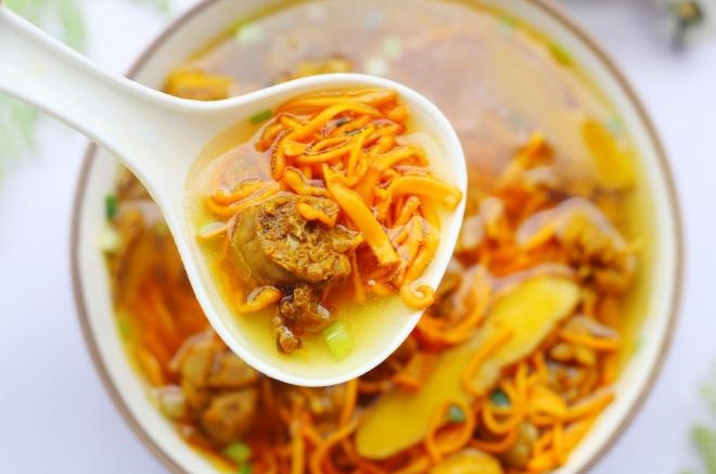 虫草炖鸡汤