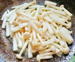 利用余油加姜丝爆香，加入白玉菇煸炒一下。