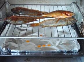 6 烤箱200度，上下火预热5分钟，  将腌制好的罗非鱼置于烤网上（烤网需刷油防粘），  放入烤箱中层开始烤制，  下面烤盘垫锡纸接油。