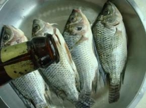 2 罗非鱼洗净沥干水份，调入料酒。