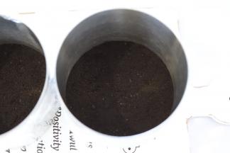 准备两个学厨4寸圆形慕斯圈，包上保鲜膜，倒入奥利奥饼干碎，压实，放入冰箱冷藏备用。