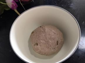 取出面团，放入容器中，密封发酵至两倍以上（夏天放冰箱发酵）