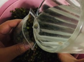 倒入少许的凉开水。