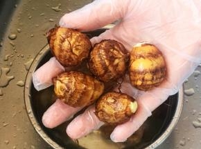 小芋艿反复搓洗干净泥土。