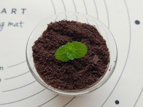 家里种薄荷的小伙伴也可以用薄荷装饰一下。