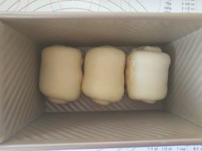 10．3个面团放入吐司盒中发酵。